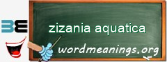 WordMeaning blackboard for zizania aquatica